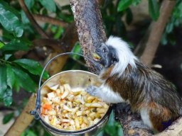 Haus des Meeres 4.02.2026